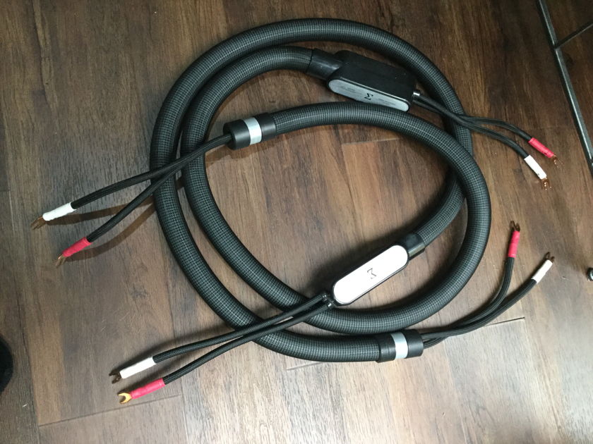 Shunyata Research Sigma Reference Speaker Cable