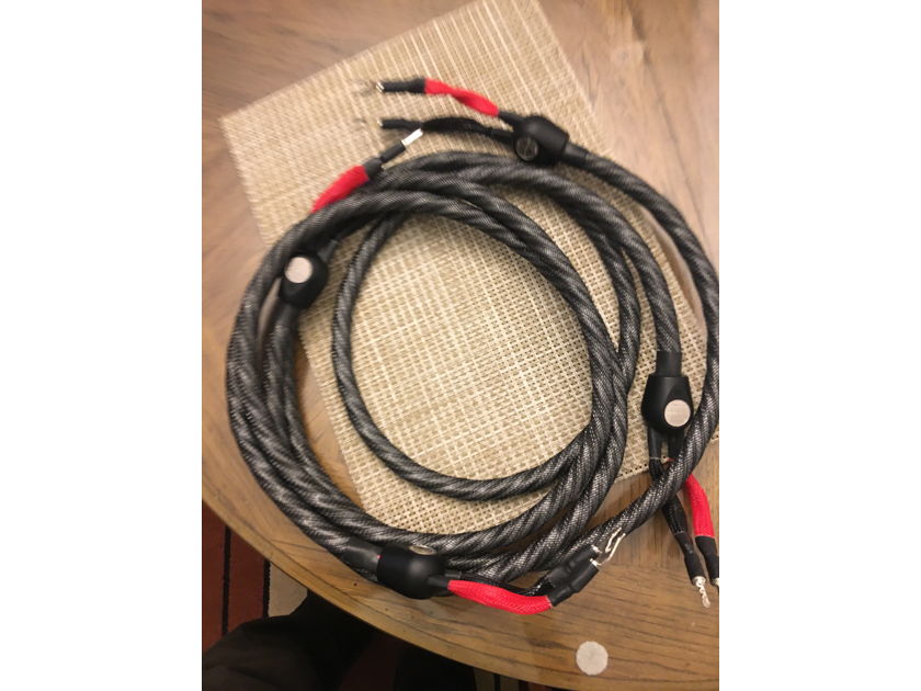 Wireworld Silver Eclipse 8 speaker cables 2.5 meters  PRICE REDUCTION