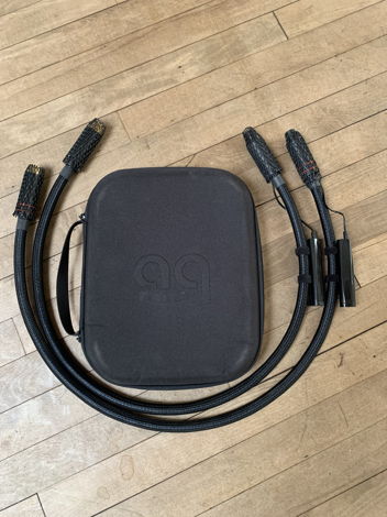 AudioQuest WEL 1 meter XLR cables with BRAND NEW DBS pa...