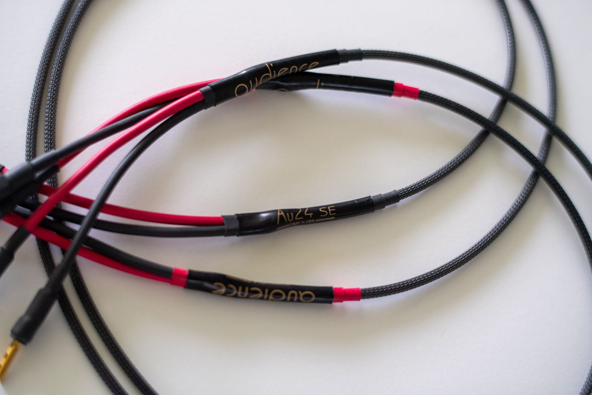 Audience Au24 SE speaker cables 4