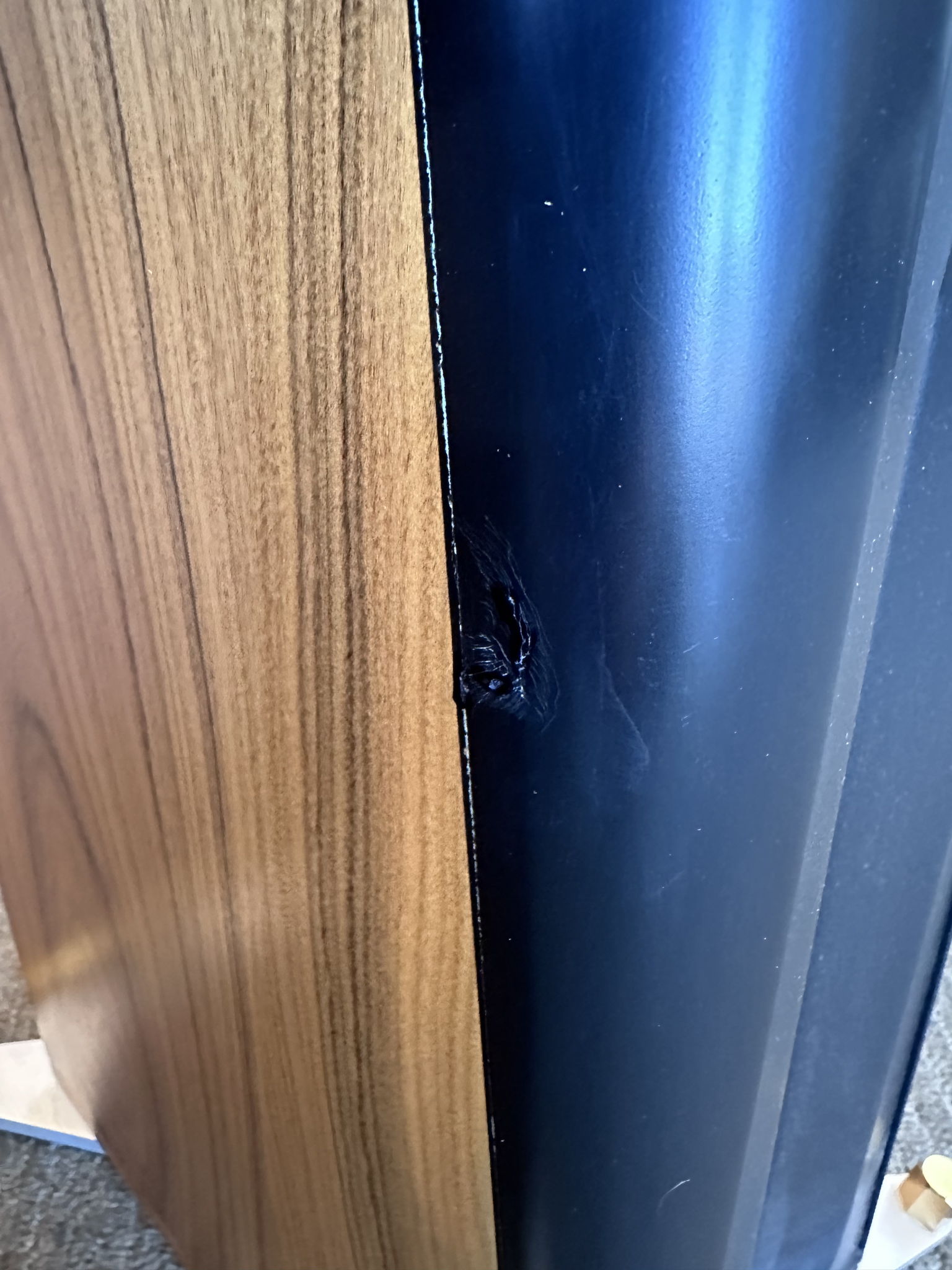 Thiel Audio CS-1.6 5