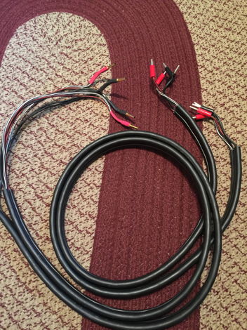 Linn  K400 Speaker Cable
