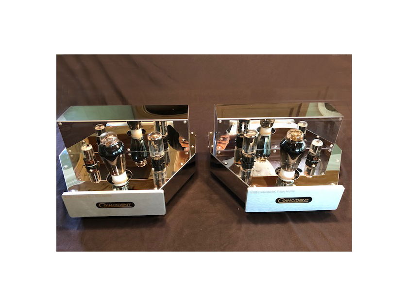 Coincident Speaker Technology M300B Frankenstein  MK II Mono Amp