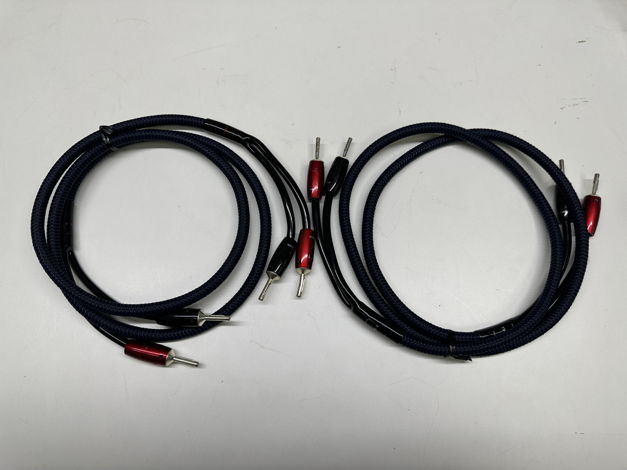AudioQuest Type 4 Speaker Cable, 5ft