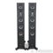 Raidho TD3.2 Floorstanding Speakers; Walnut Burl Pai (6... 2