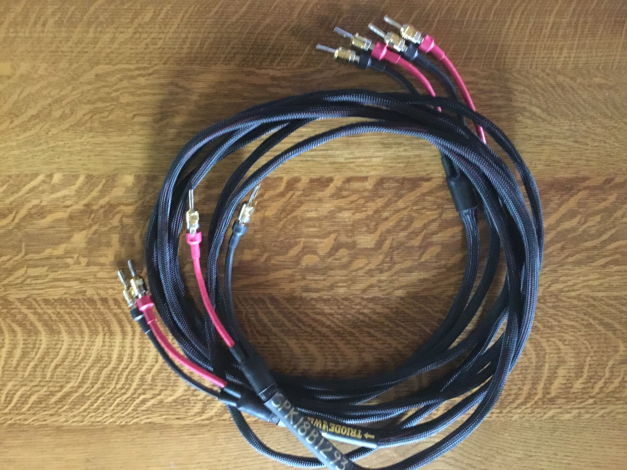 Triode Wire Labs American Speaker Cables | 12 Feet w/ B...