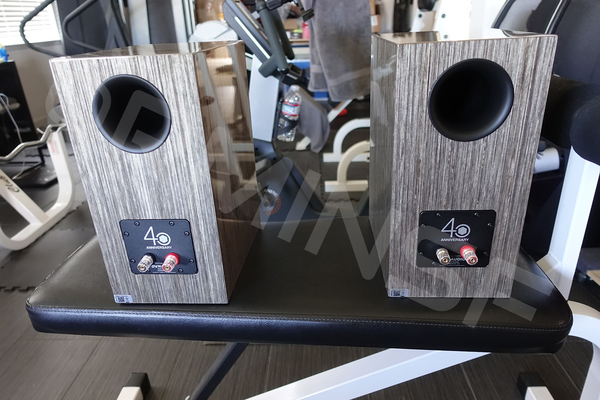 Dynaudio Special Anniversary 40 Grey Birch high Gloss 6