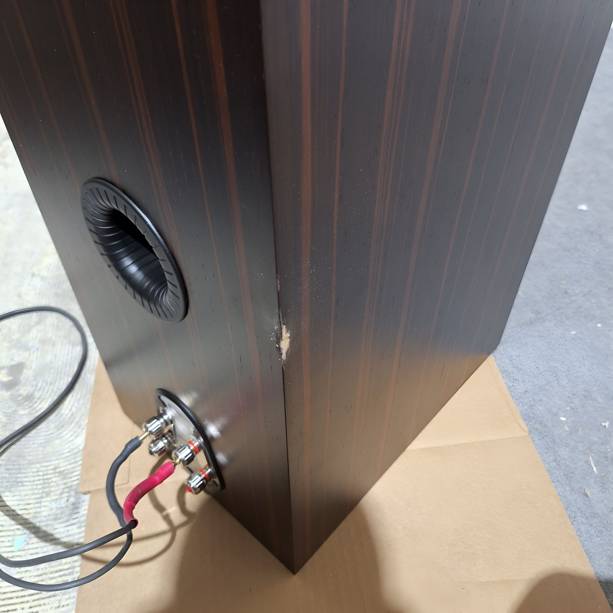 Here is the only speaker damage (to one speaker) 