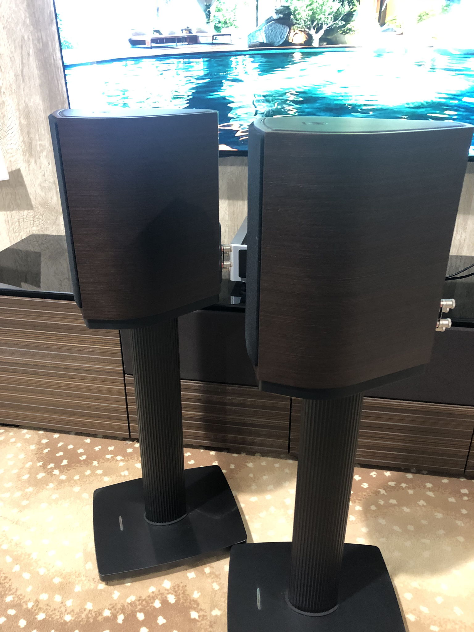 Sonus Faber Sonetto II / With Matching Stands 3