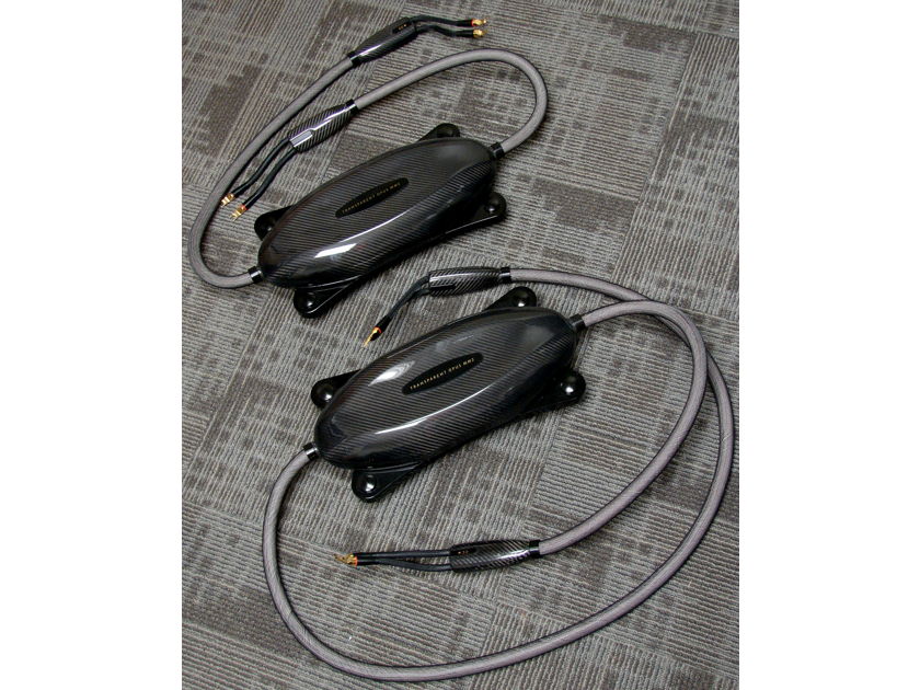 Wilson Audio Alexandria X-2 s2 w/ Transparent Audio Opus MM2 Speaker Cable