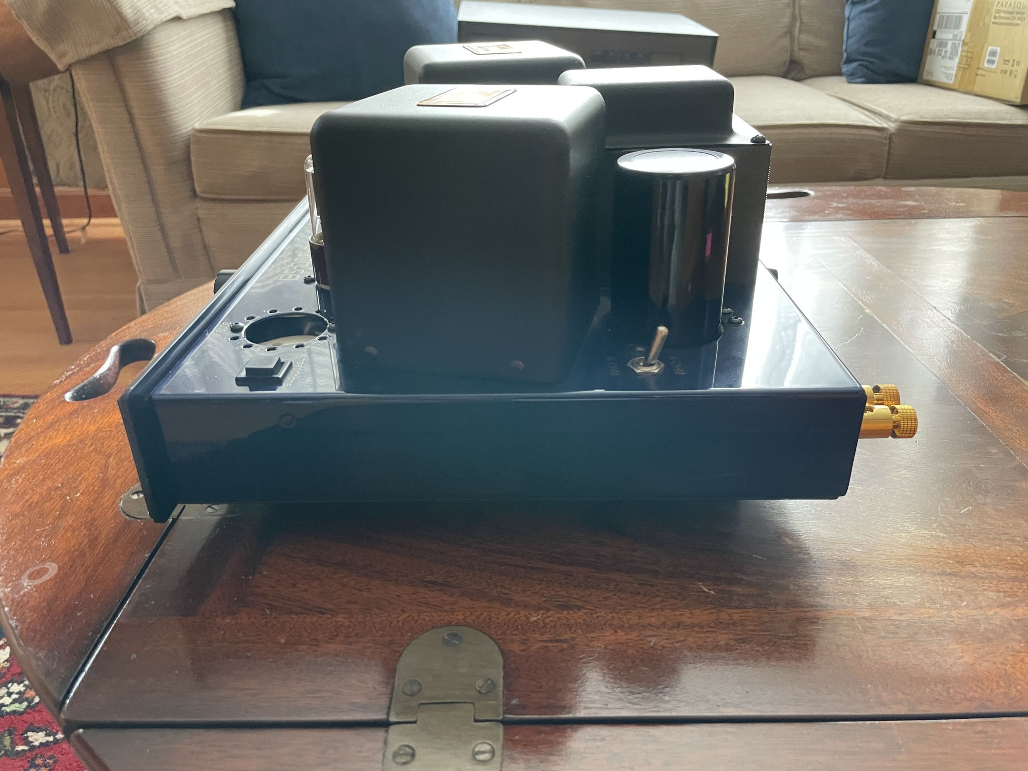 Cary Audio CAD-300sei 4