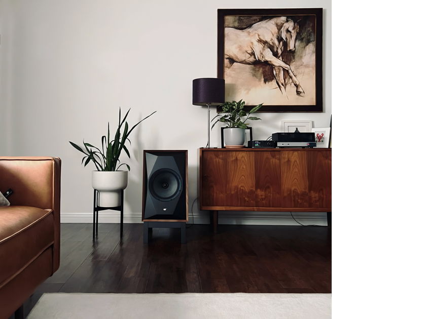 MoFi Electronics SourcePoint 10 [Original] Loudspeakers - Black Ash, Pair