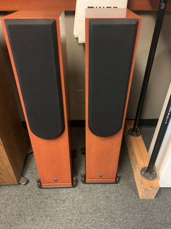 Soliloquy 5.3 Tower speakers Rare find