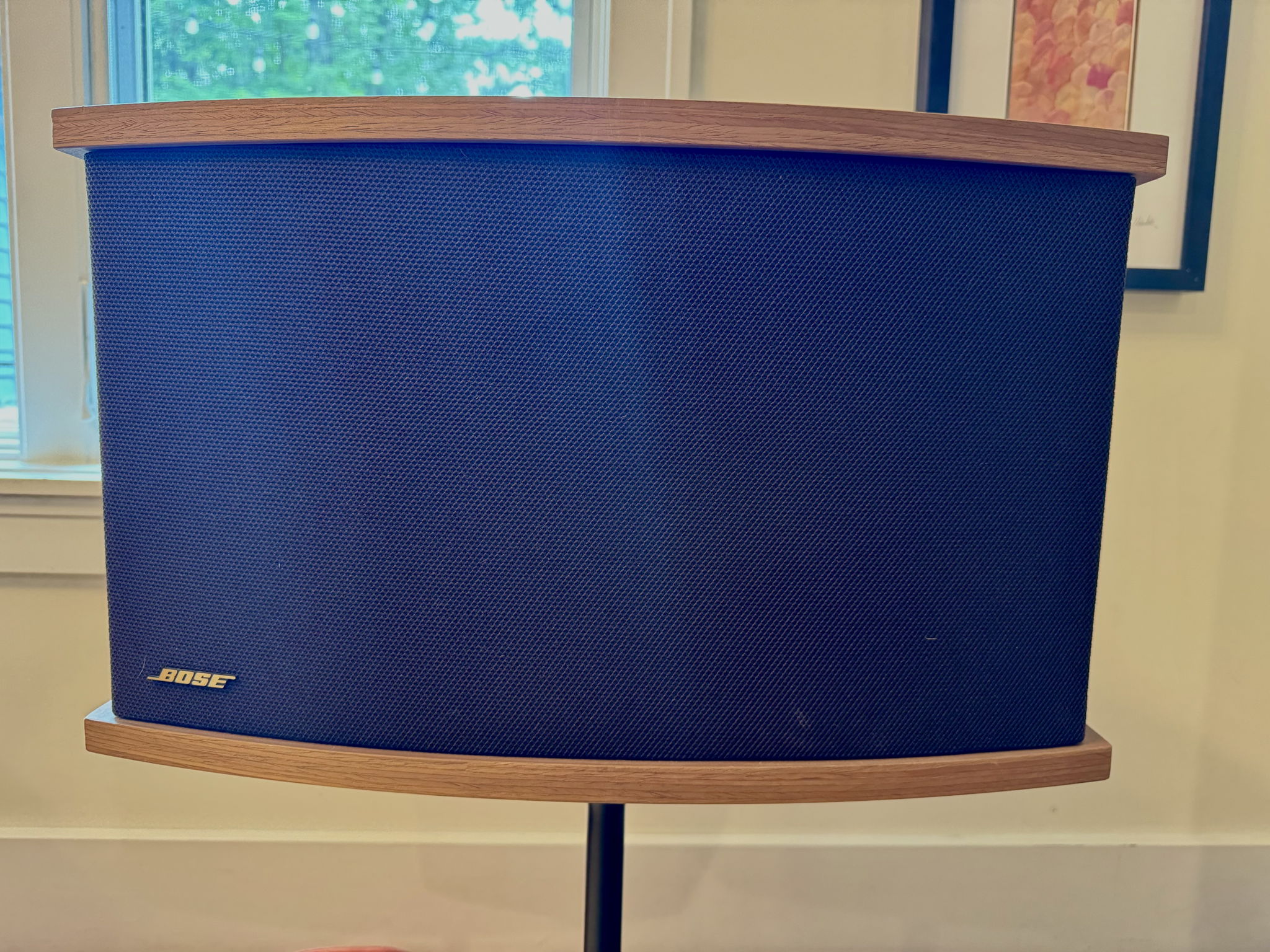 BOSE 901 VI - WITH EQ & STANDS 5