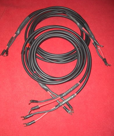 Audience Maestro External Biwire Speaker Cables *2.5 Me...