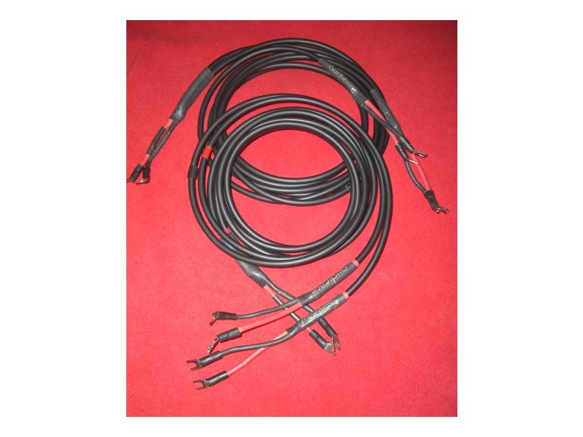 Audience Maestro External Biwire Speaker Cables *2.5 Meter Pair* W/Spades