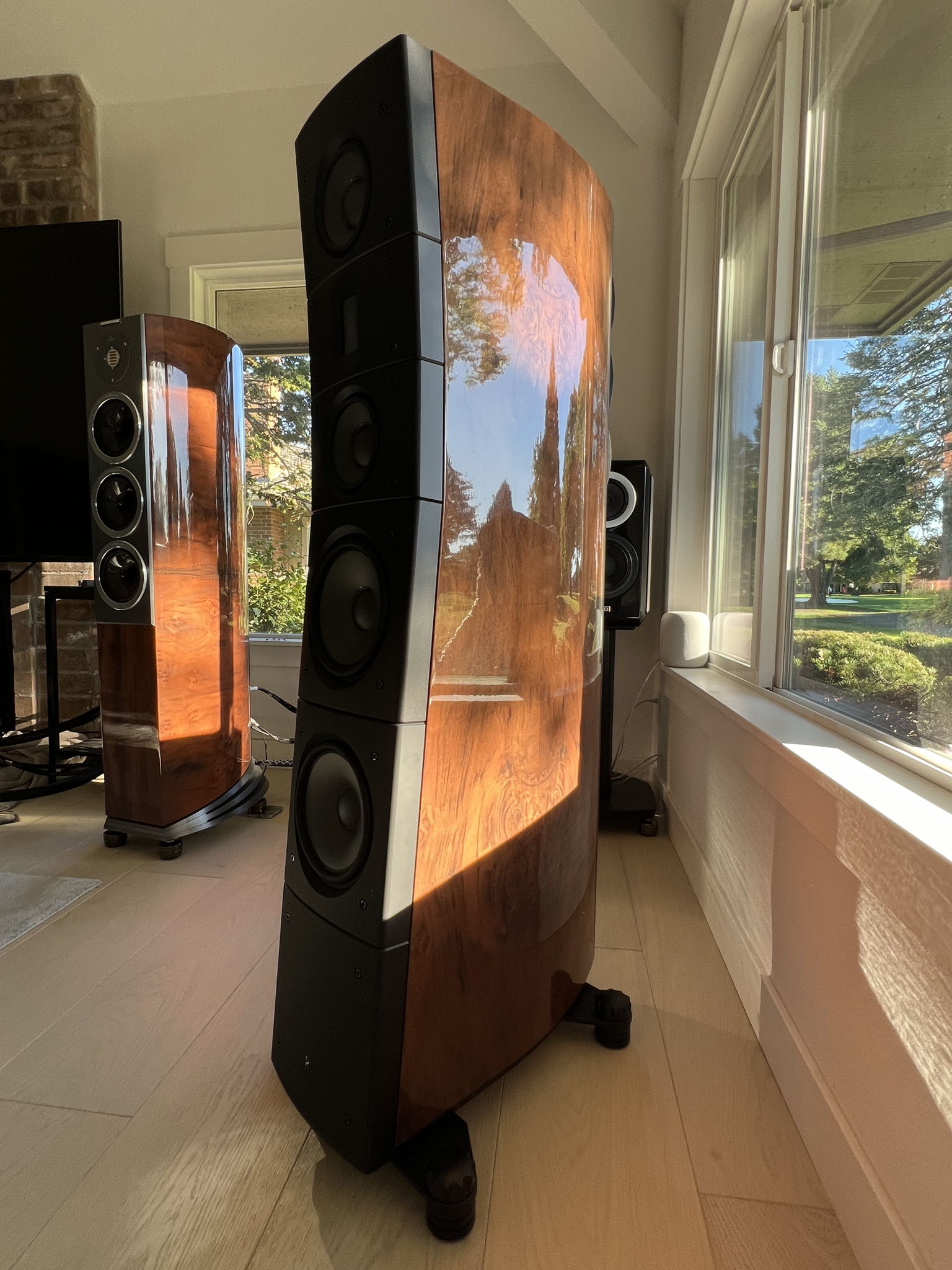 Raidho Acoustics TD 3.8's