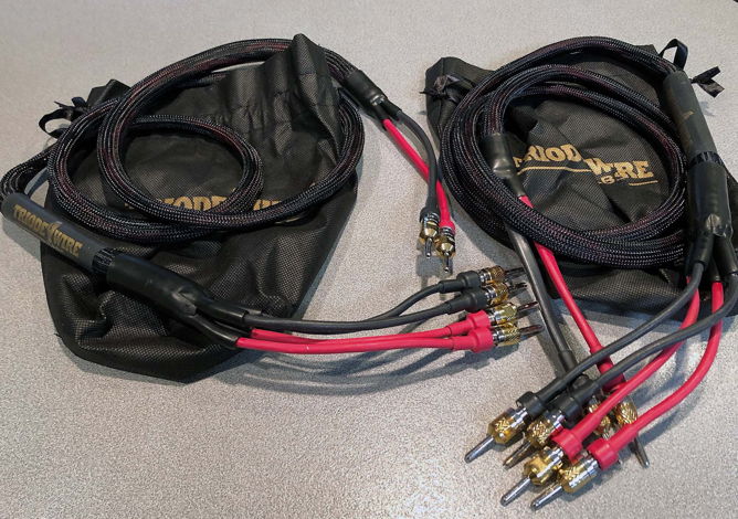 Triode Wire Labs Speaker Cables Bi-wired 6 feet bananas