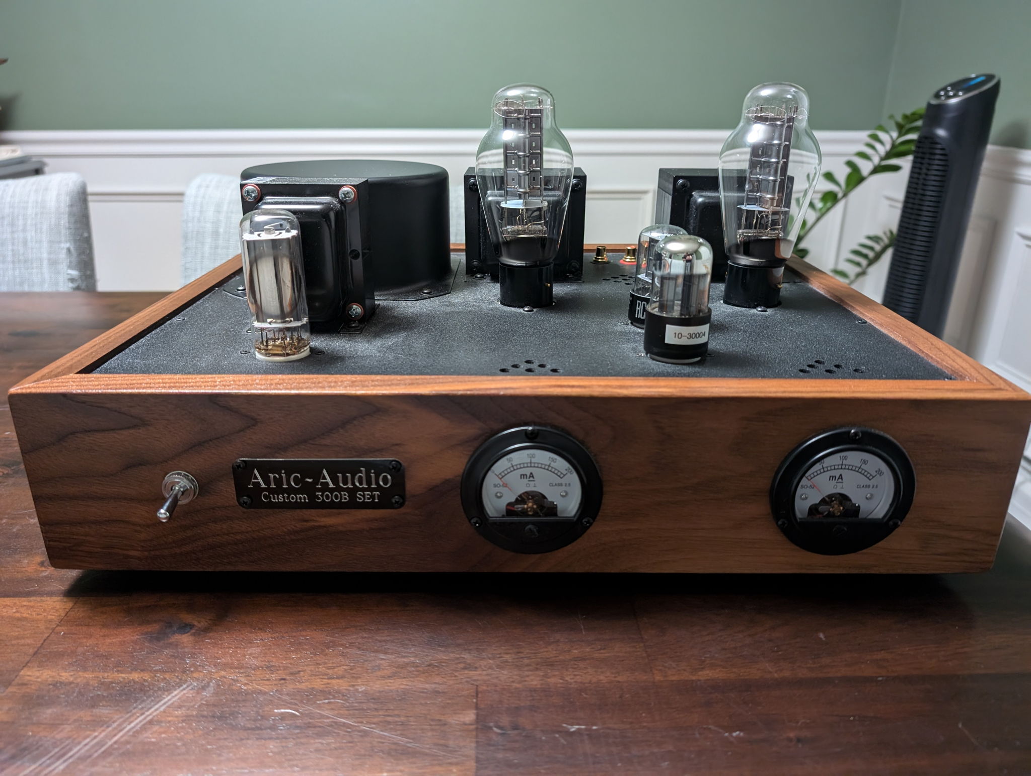 Aric Audio Custom 300B SET Amp 3