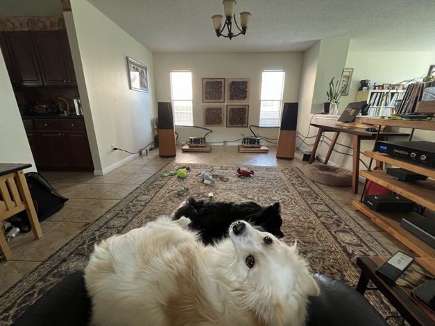 Comet Loves Genesis