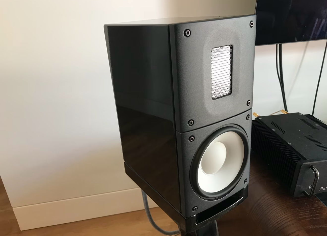 Danish Excellence! Raidho Acoustics X-1 (with Stands) 6