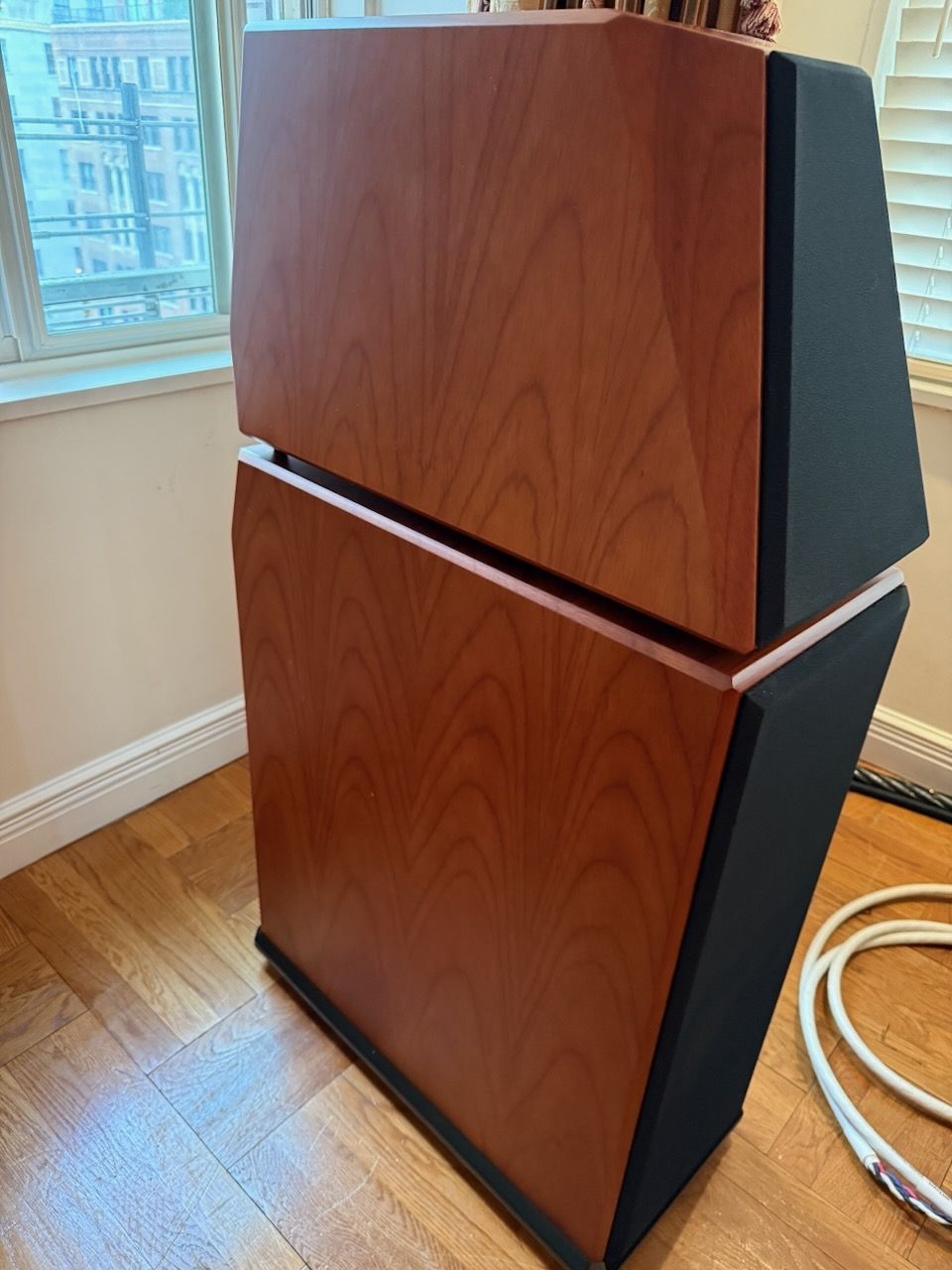 Von Schweikert audio VR4 SR MK speakers. these were the... 12