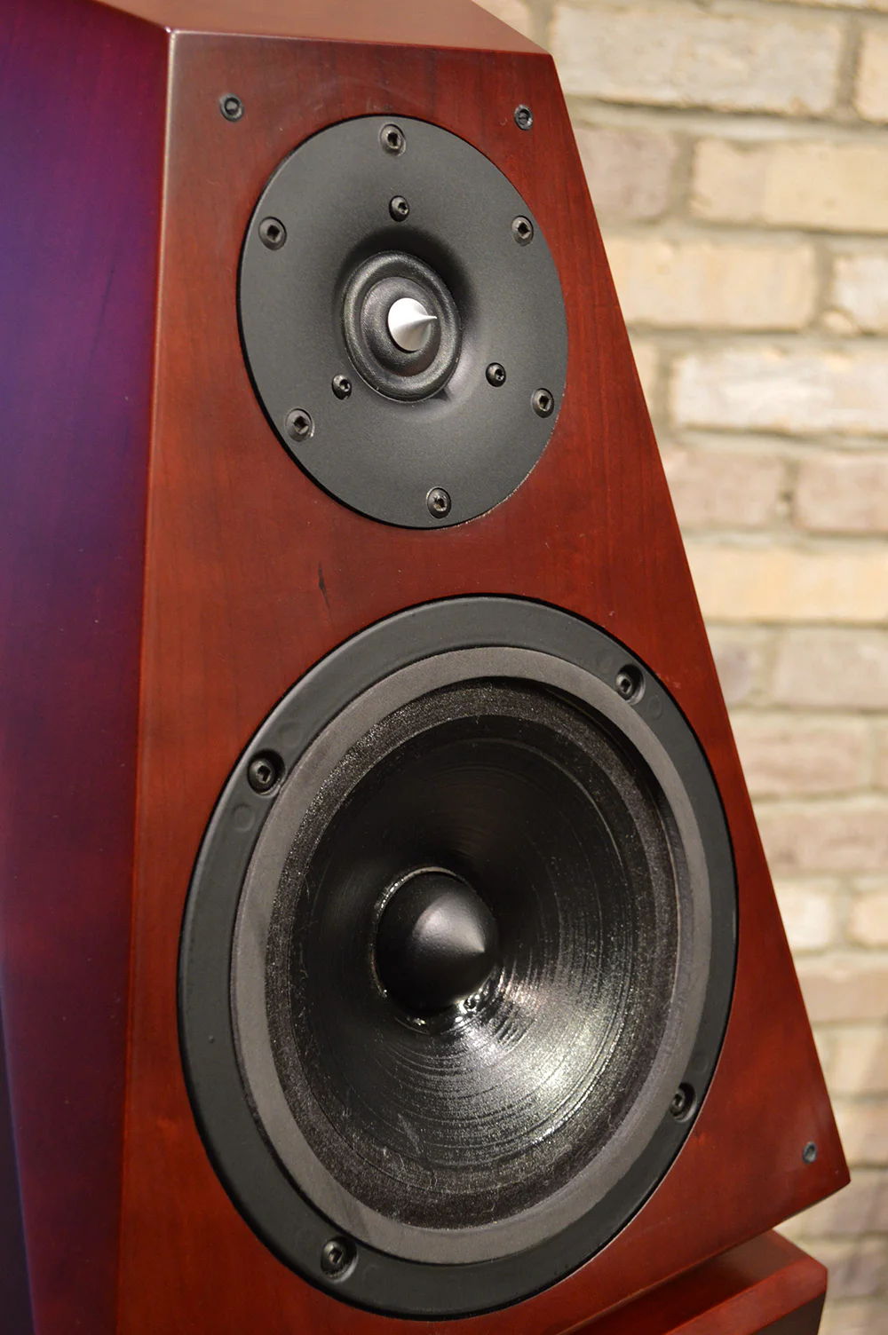 Von Schweikert Audio vr5 anniversary mk2 4