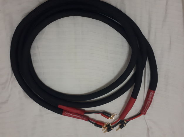 TIMEPORTAL REFERENCE SPEAKER CABLE QED TERMINATION EXCE...