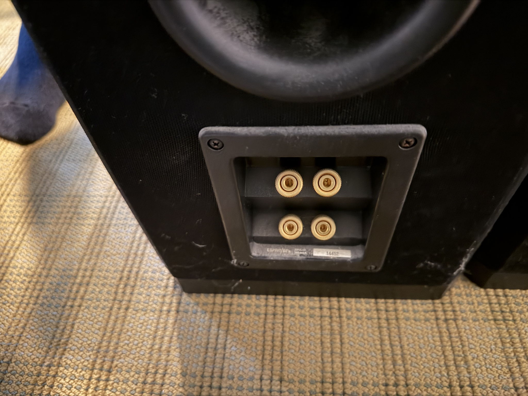 Paradigm Floor standing Bipolar reference