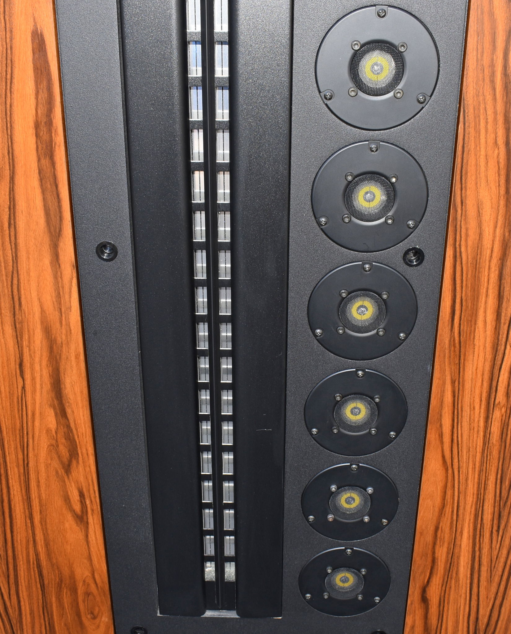 Genesis II Floor Standing Speakers w/ Servo Bass Power ... 5