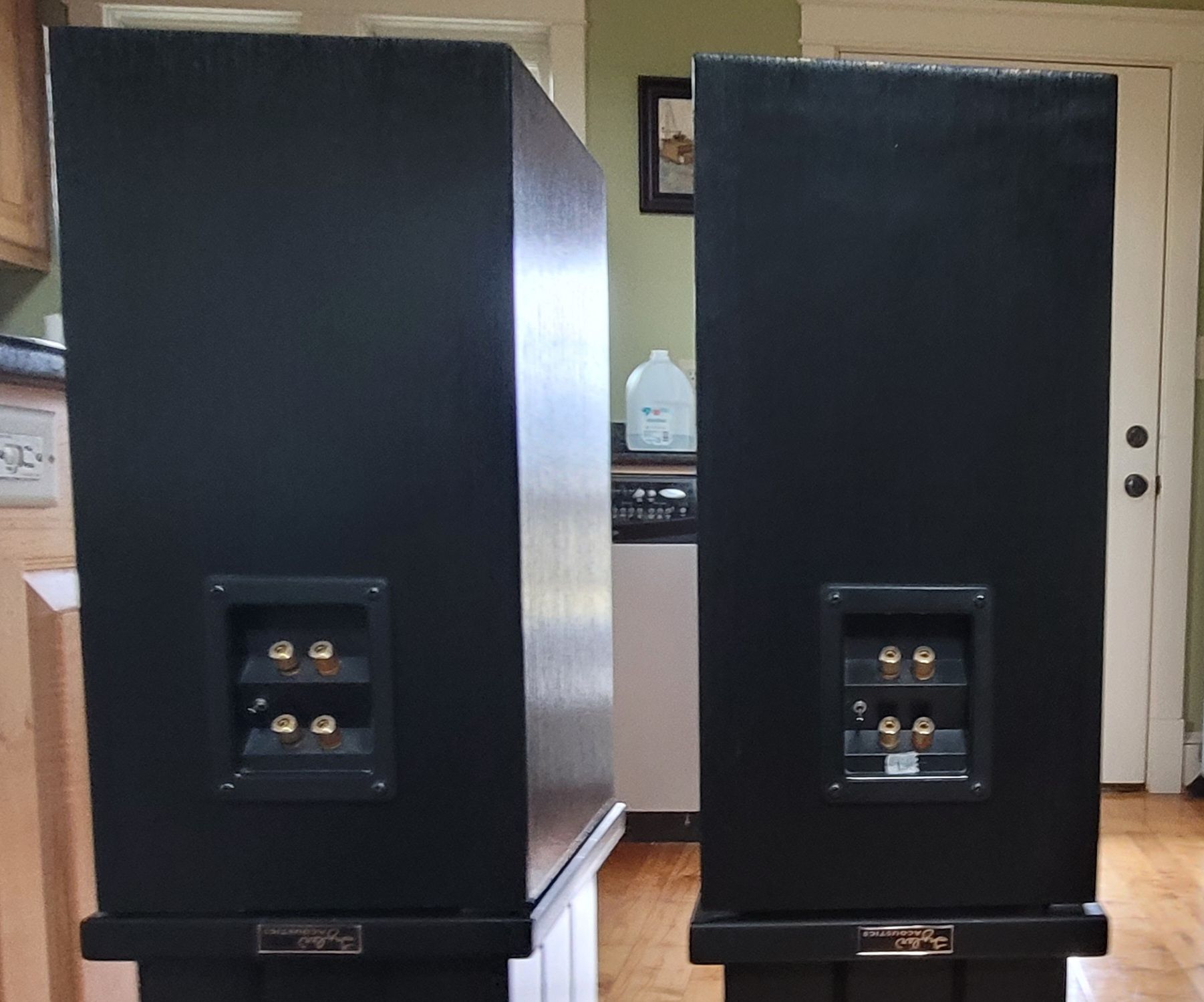 Tyler Acoustics Taylo Reference Monitors  (I'll include... 7