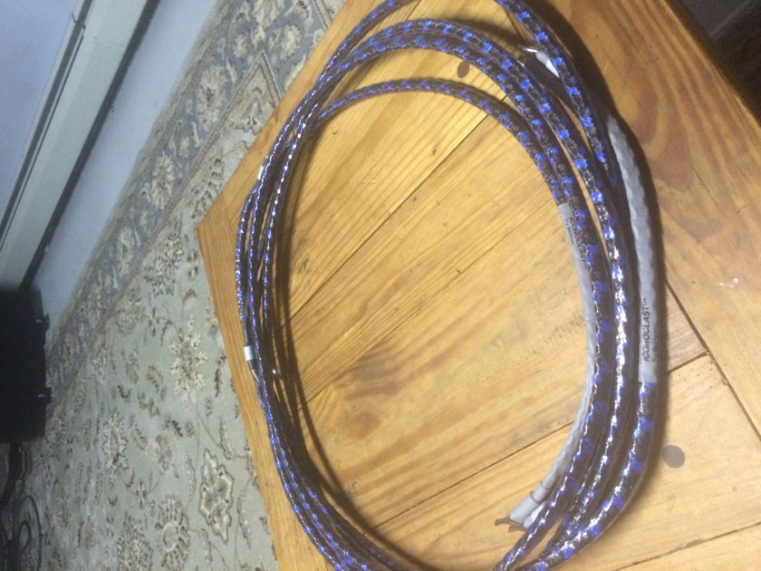 Iconoclast by Belden OFHC 10' speaker wire pair with spades