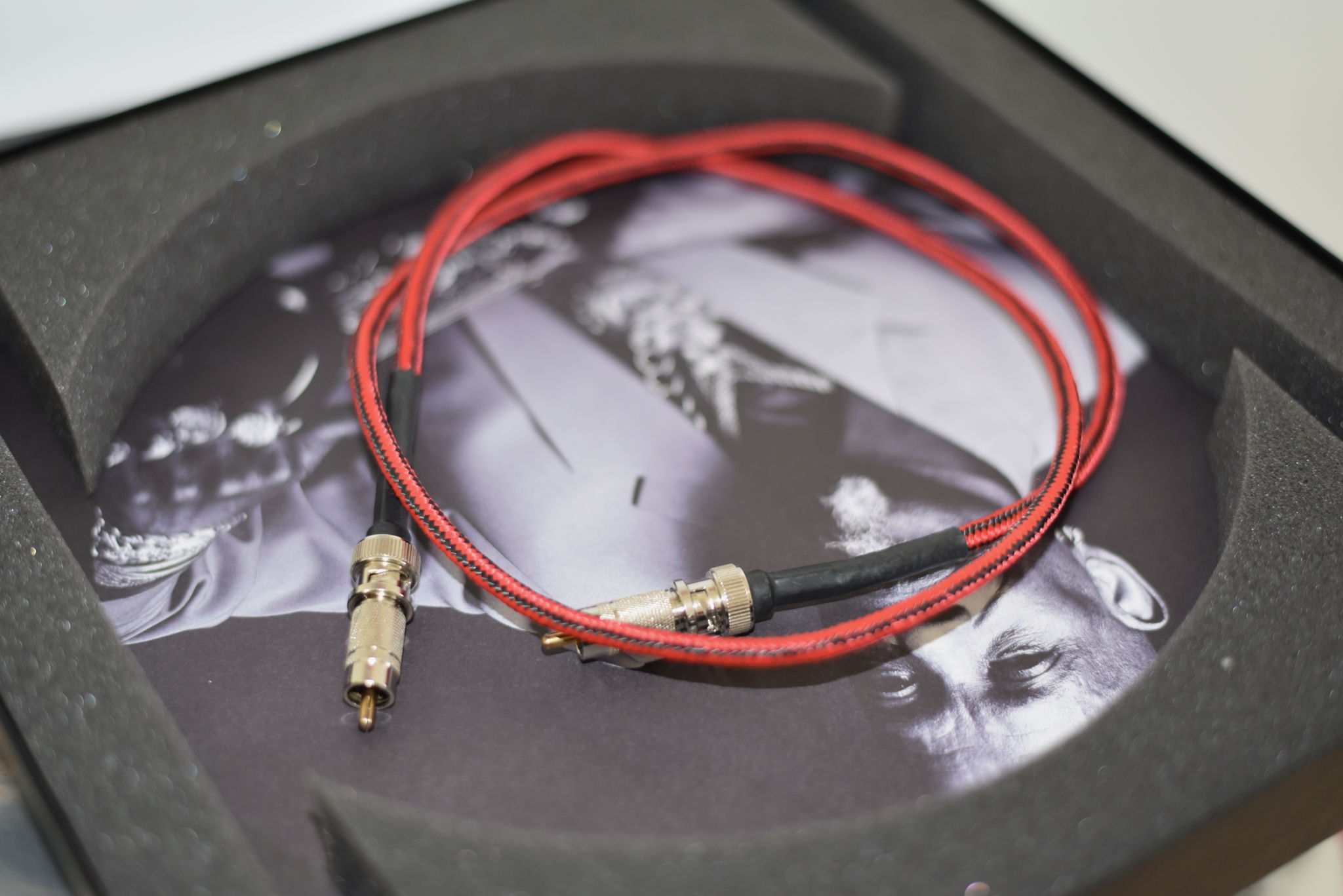 Stereolab  1M Digital Coax cable 2