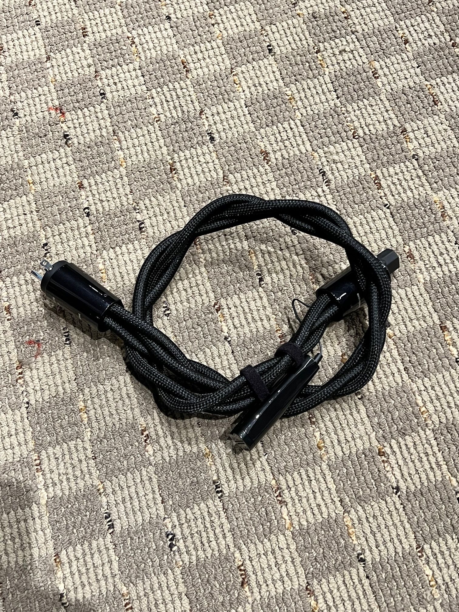 AudioQuest Dragon Source. 1 meter 15 amp BRAIDED Cables 2