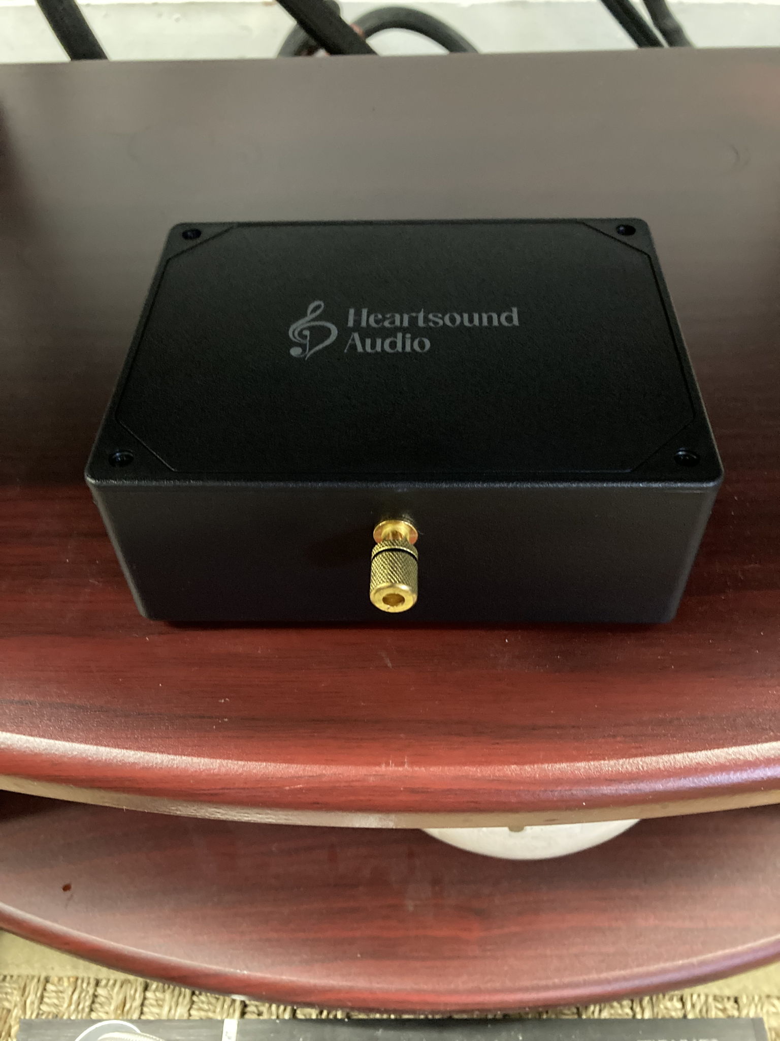 Heartsound Audio Grounding Box 14