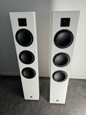 Gauder Akustik Arcona 100 MK2 speakers in white from 2020