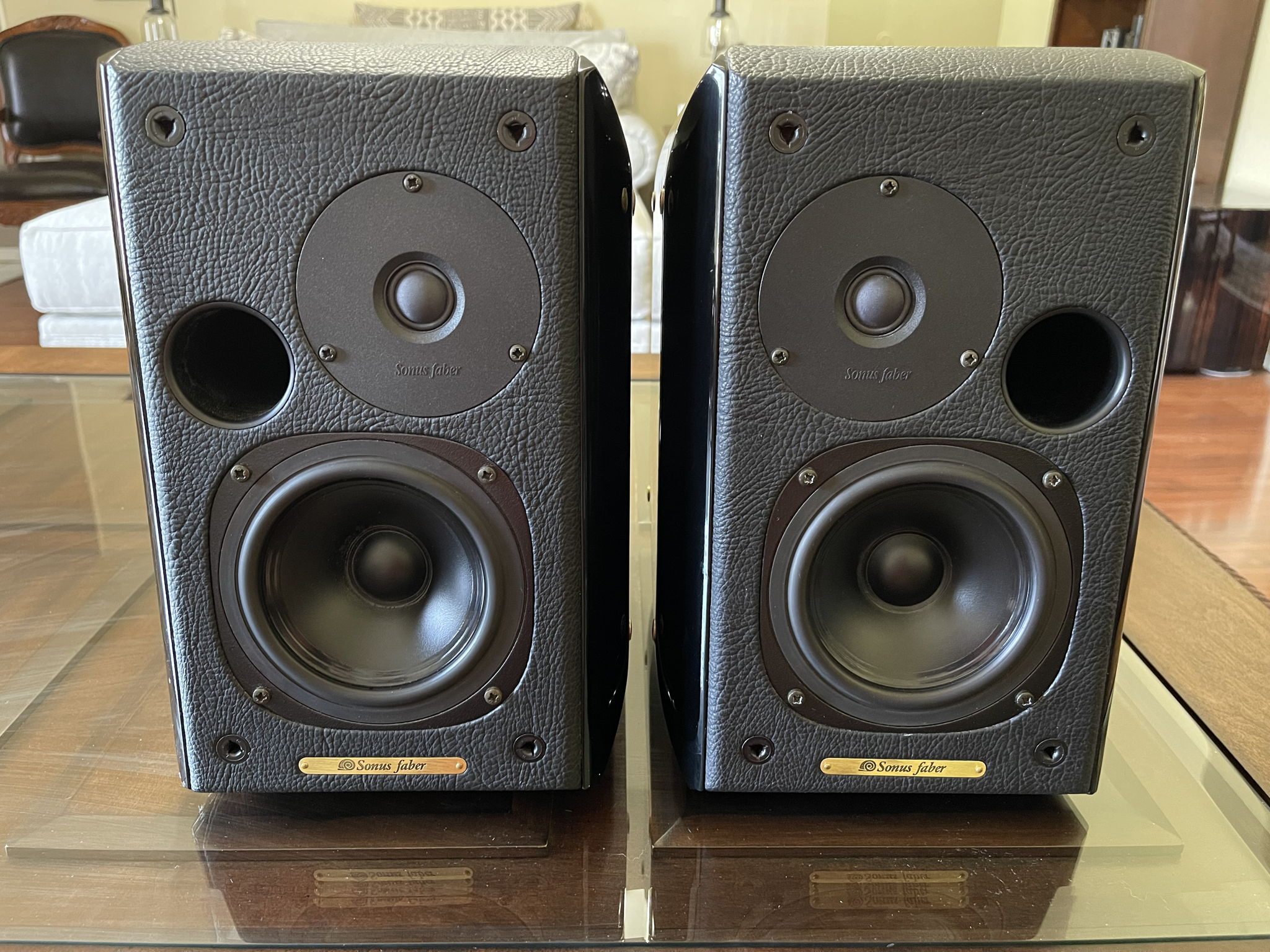 Sonus faber best sale concertino for sale