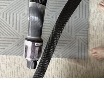 Elrod Statement Power Cord, Newest Generation.