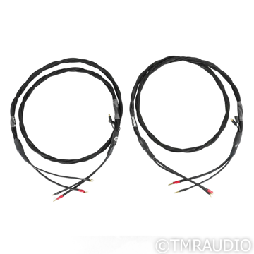 Synergistic Research Element Tungsten W Speaker Cables;...