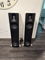 AXPONA DEAL- Børresen Z2 Cryo Loudspeakers - Excellent ... 19
