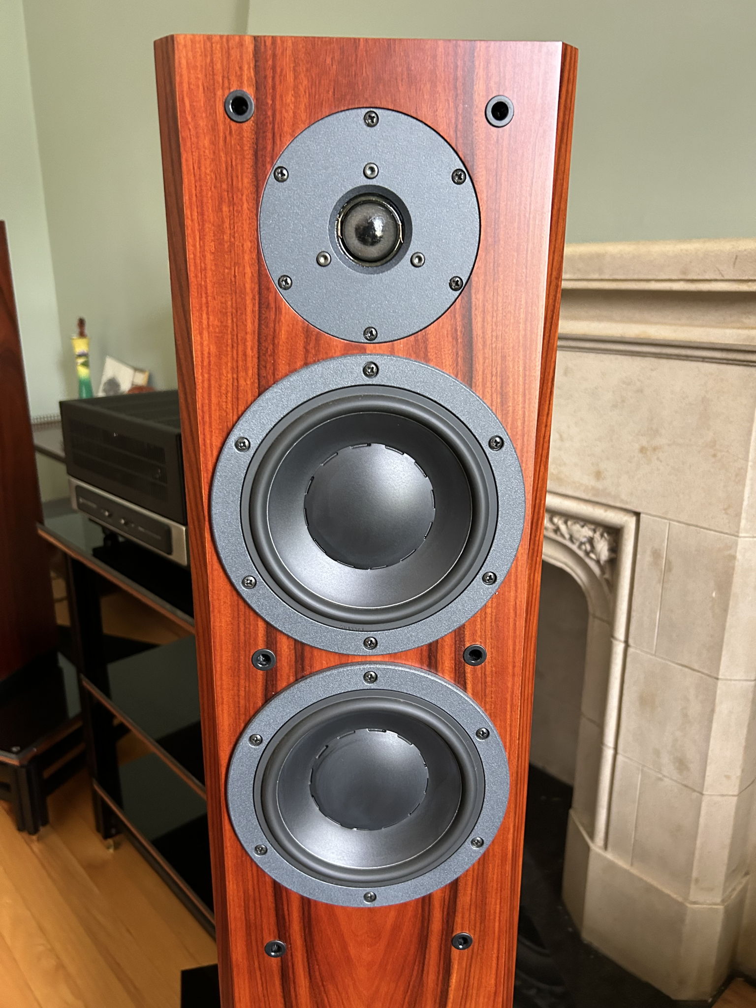 Dynaudio Focus 220