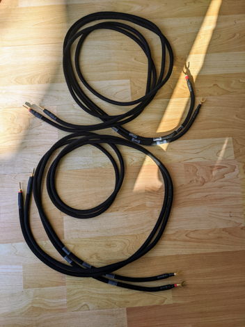 LessLoss C-MARC speaker cables with Entropic Process Pl...