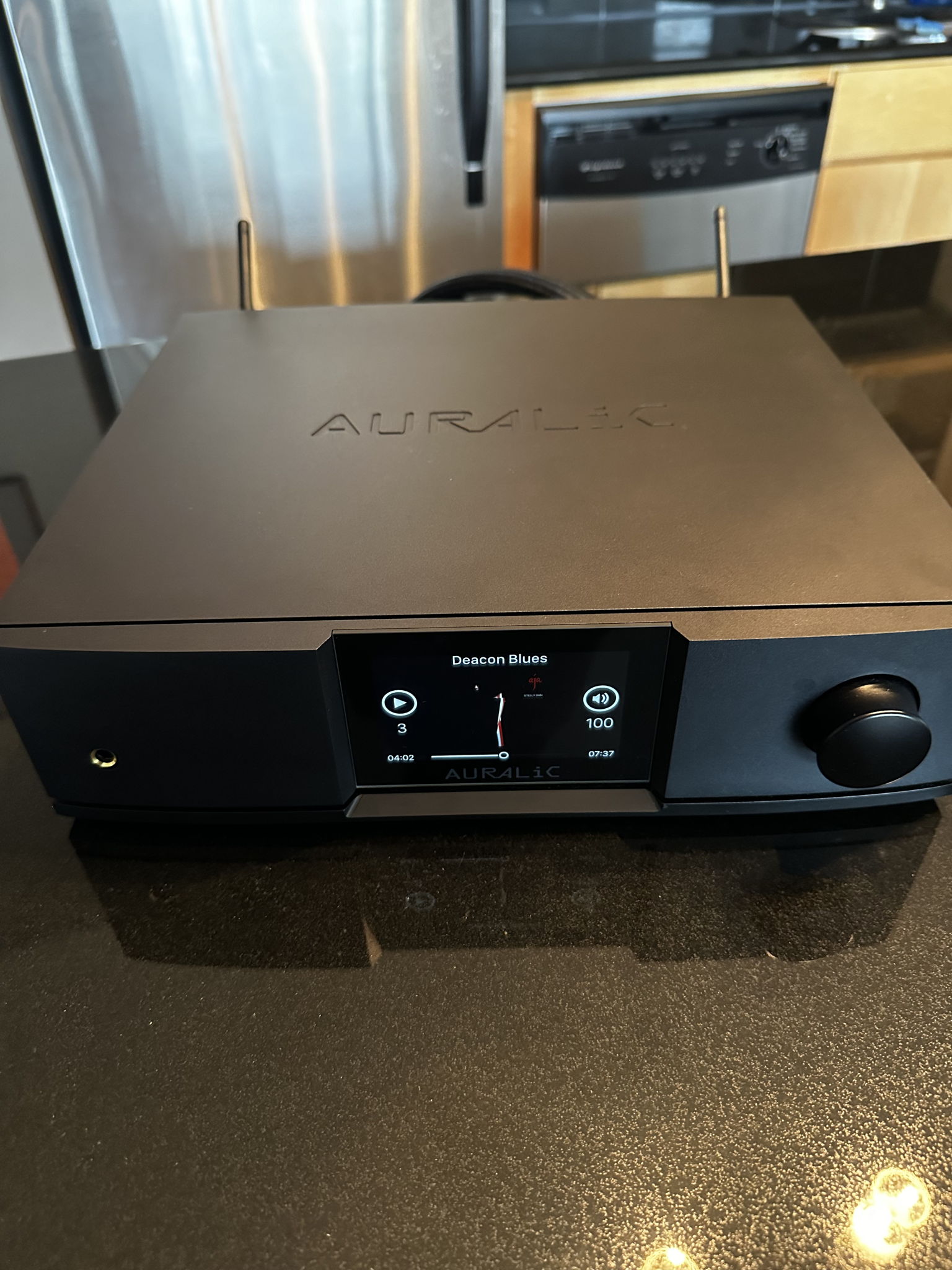 Auralic Altair G2.1 StreamIng DAC 9