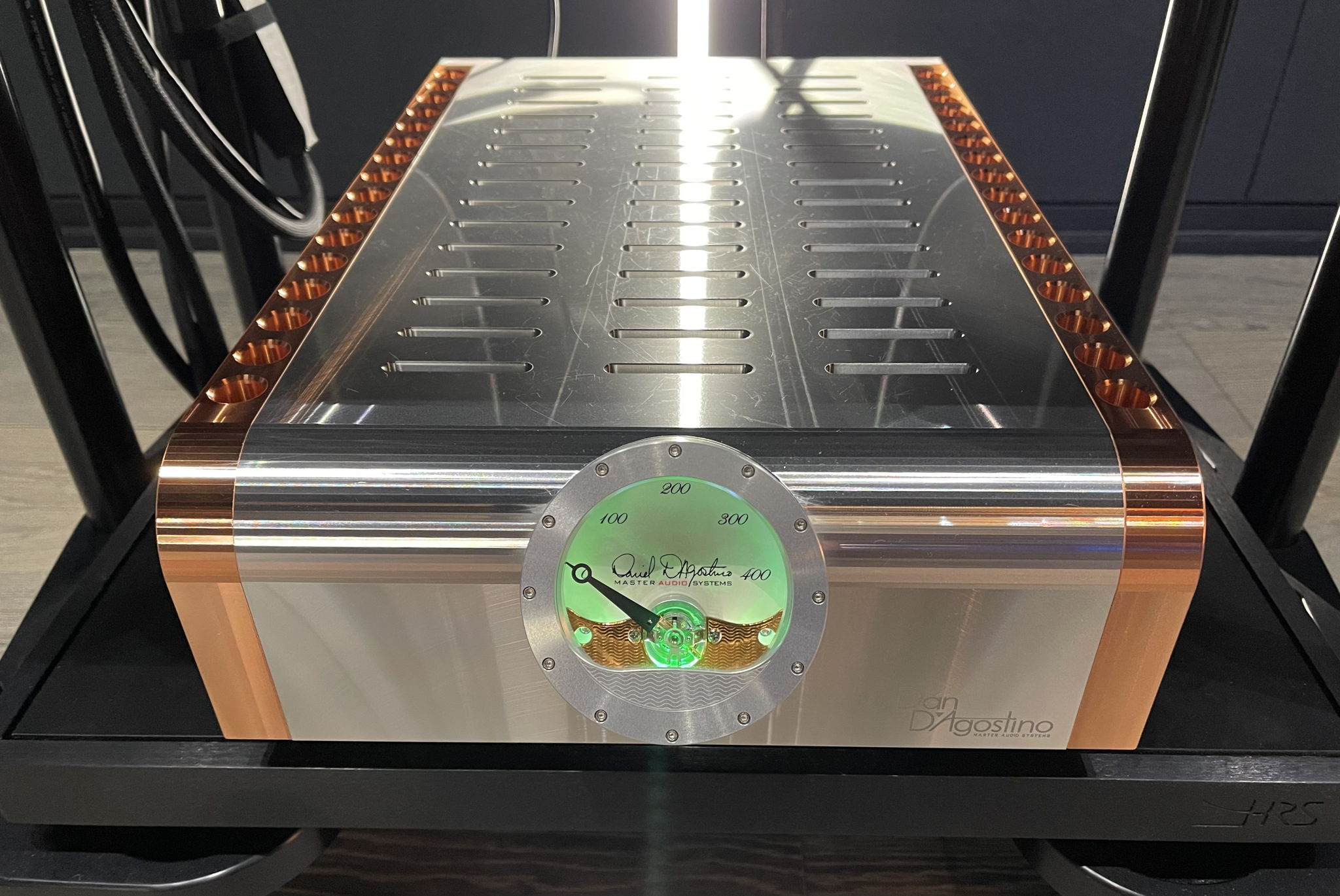 Dan D'Agostino Momentum M400 Monoblock Amplifiers - Sil... 6