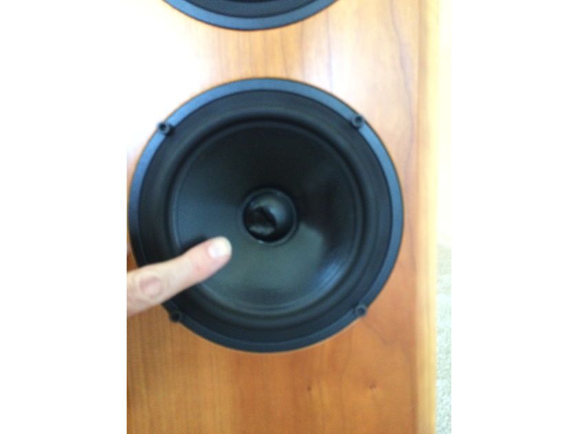 Coincident Speaker Technology Total Victory Original Pair