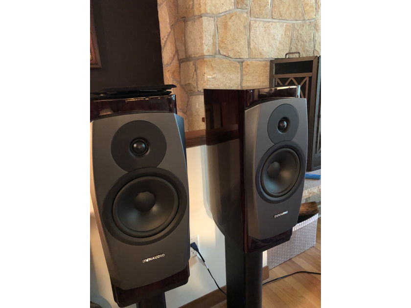 Dynaudio Confidence 20 (FREE SHIPPING)