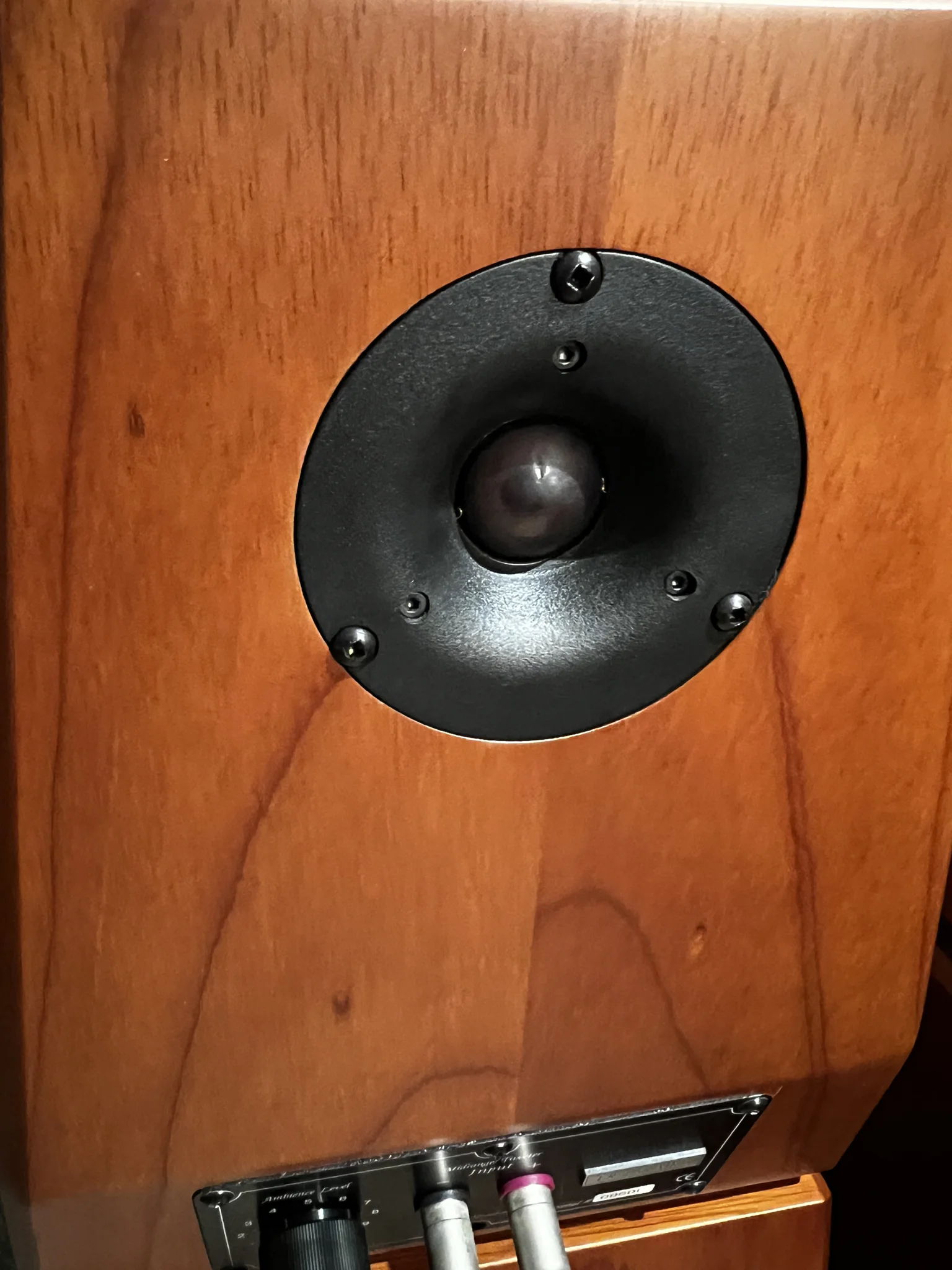 Von Schweikert audio VR4 SR MK speakers. these were the... 16