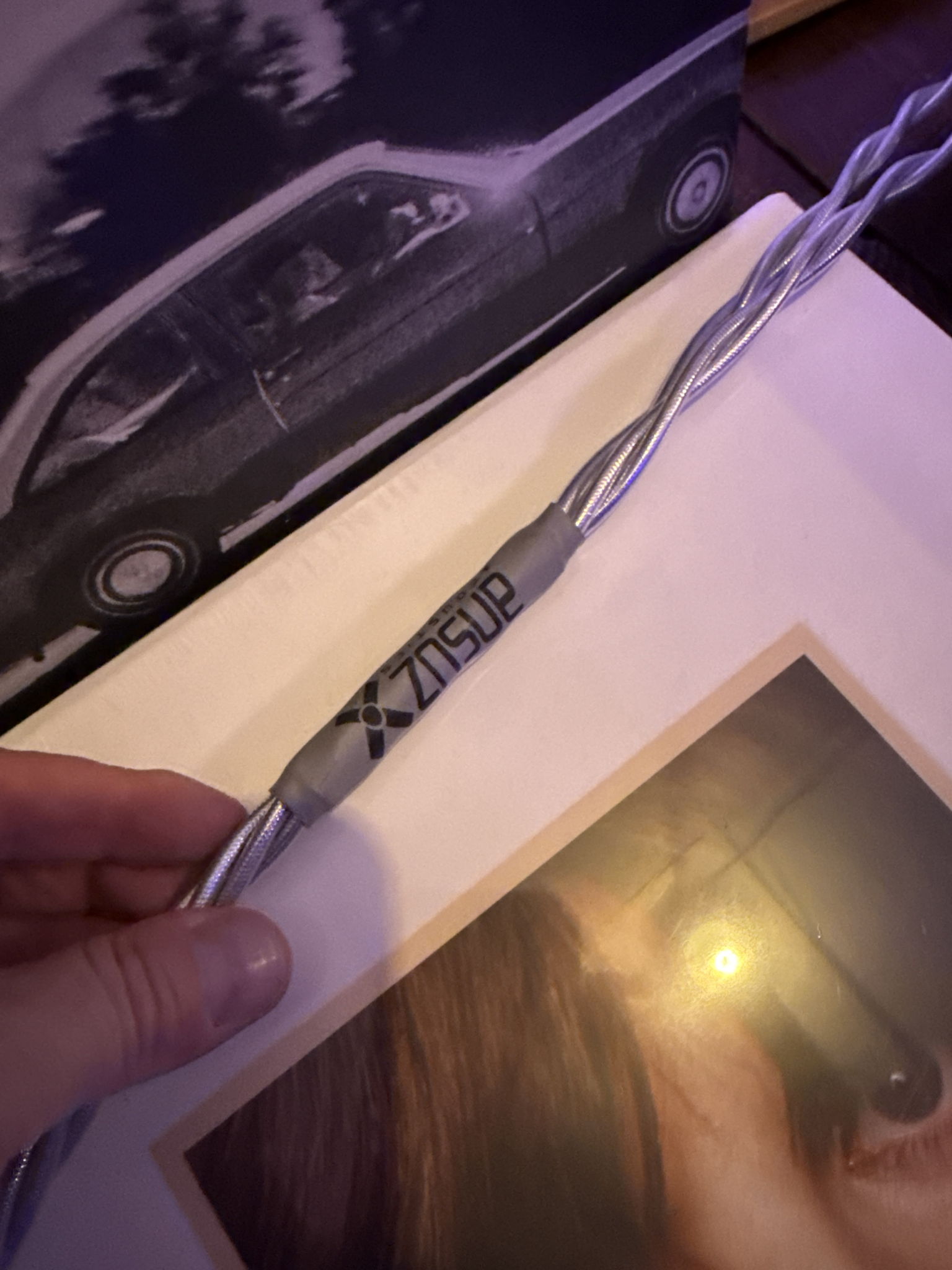 Ansuz Acoustics Speakz Series-X 2