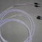 Gabriel Gold Infusion v2 * 8ft Set Silver Speaker Wire ... 2