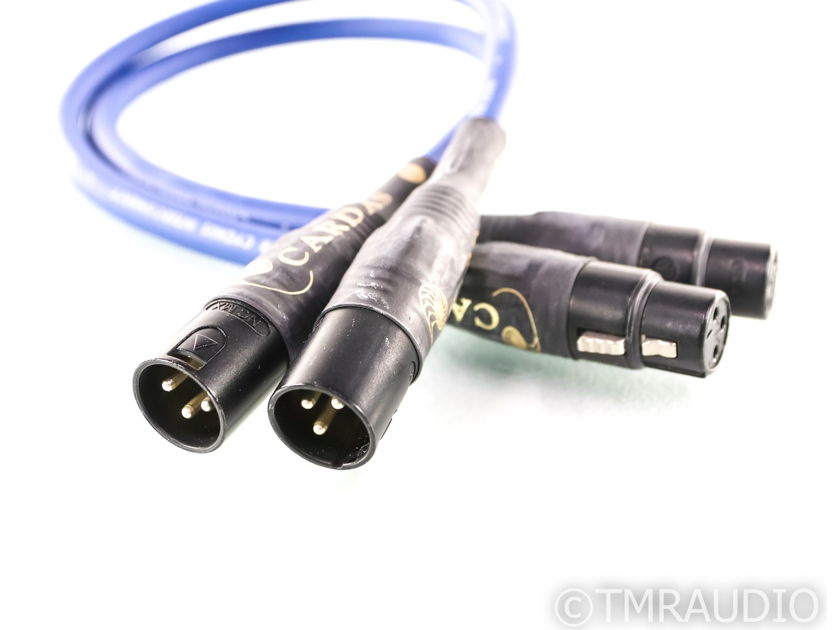Cardas Clear Cygnus XLR Cables; .5m Pair Balanced Interconnects (27864)